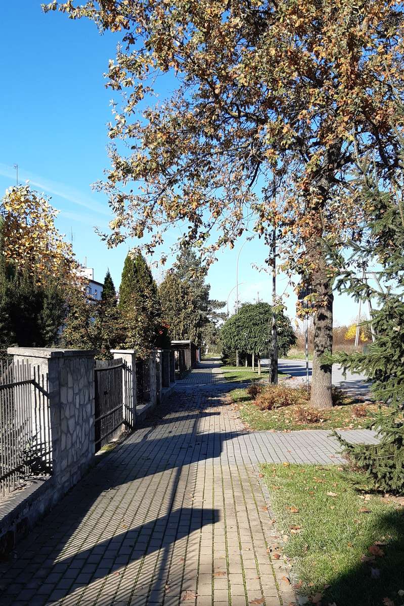Spaziergang entlang der Retmańska-Straße im Herbst Puzzlespiel online