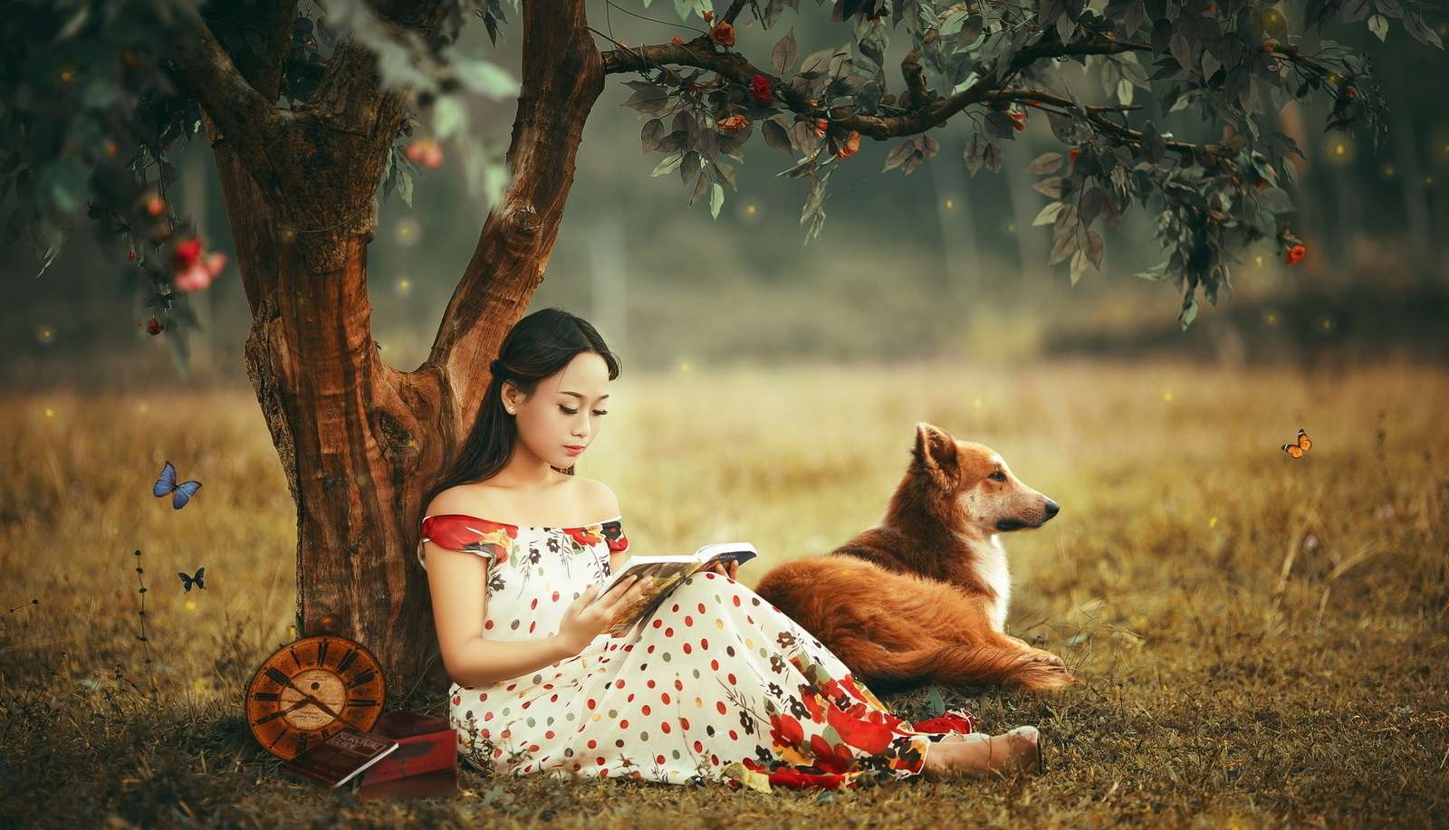 Lány egy könyvvel és egy kutyával egy fa alatt kirakós online