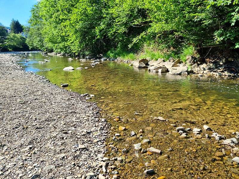 Nyár a Cisna folyón, a Bieszczady-hegységben online puzzle