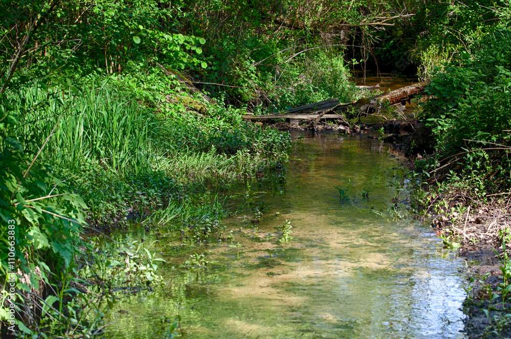 Un ruisseau dans la forêt puzzle en ligne