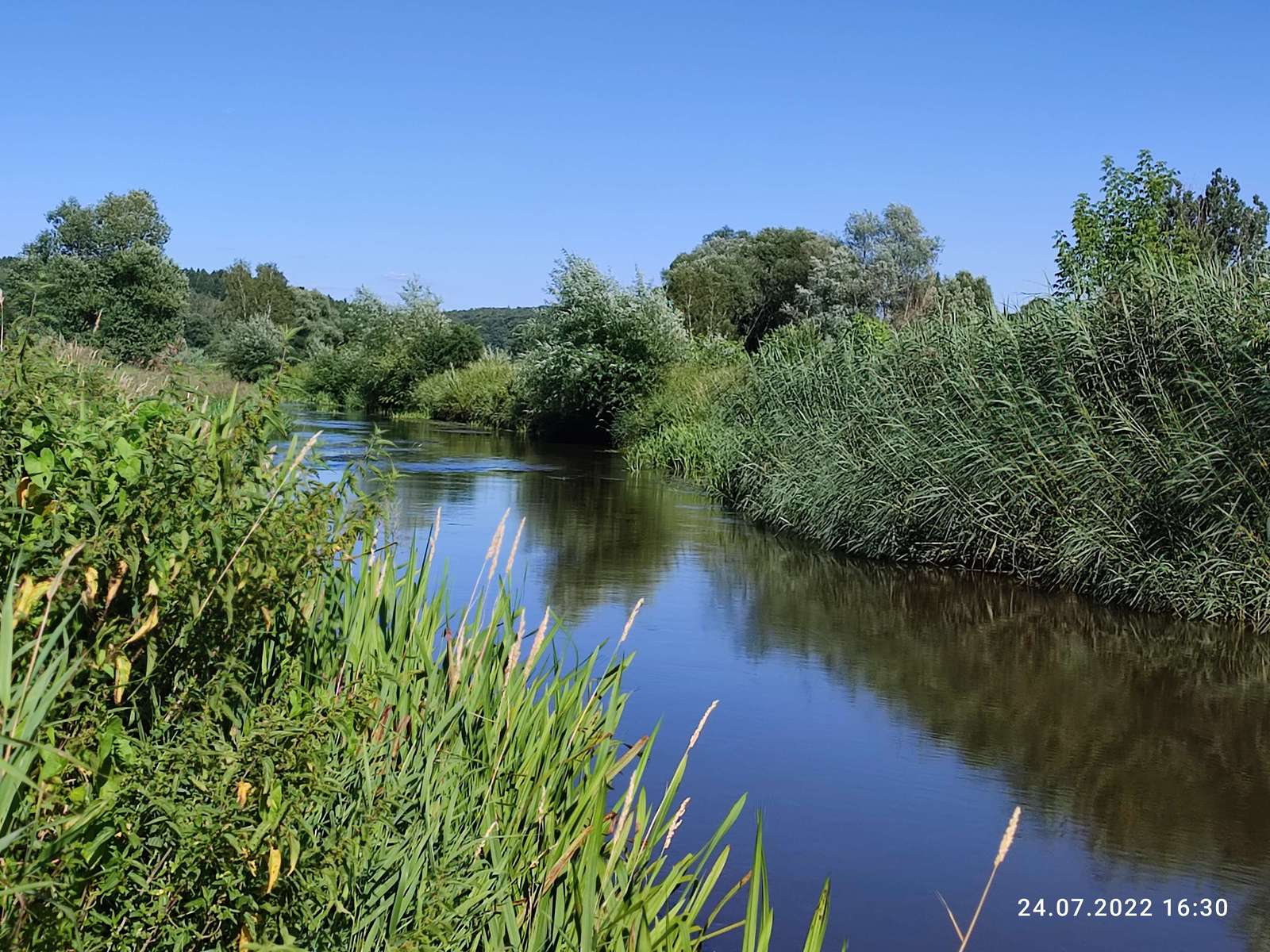 La rivière Warta en été puzzle en ligne