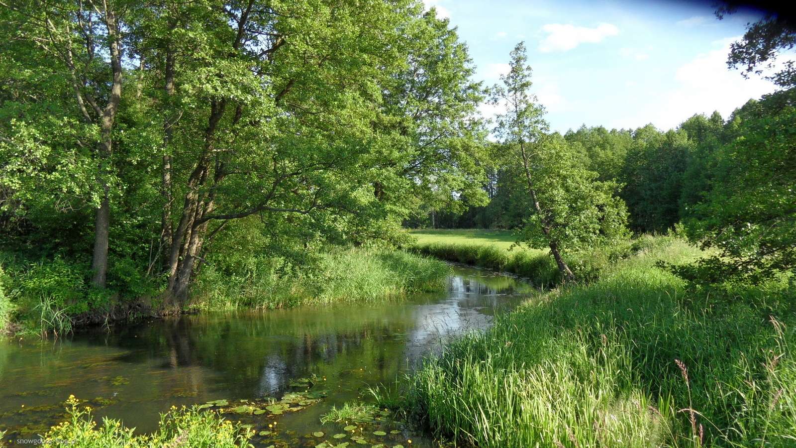 Le fleuve à la frontière avec la Biélorussie puzzle en ligne