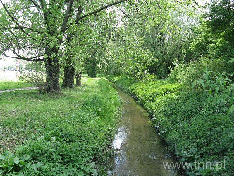 Ein schöner Fluss in Lublin Puzzlespiel online