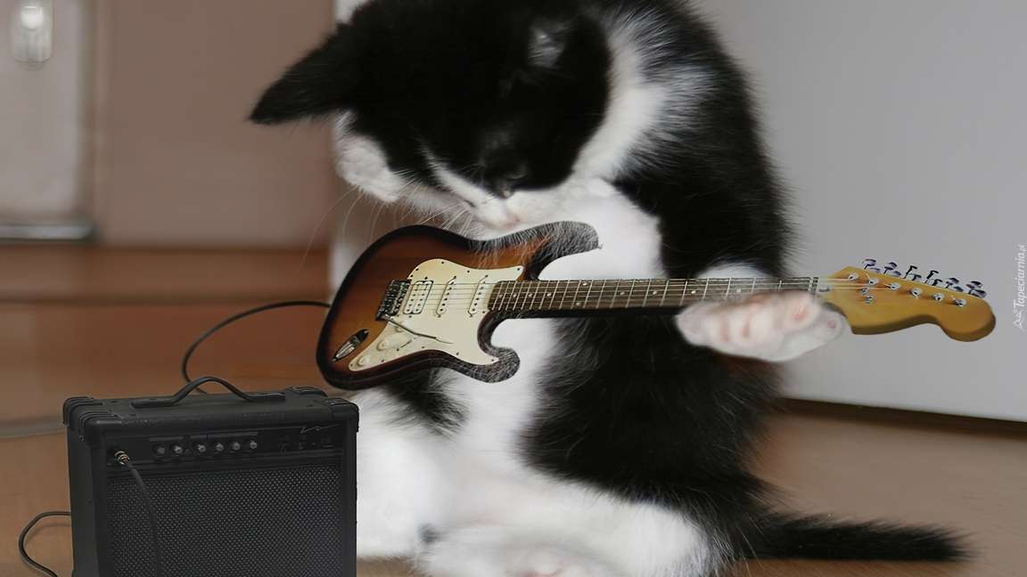 musiker katt pussel på nätet