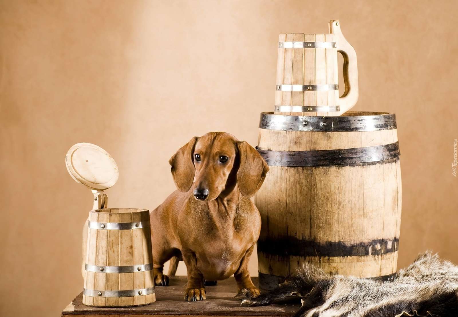 Dachshund de cerveja quebra-cabeças online