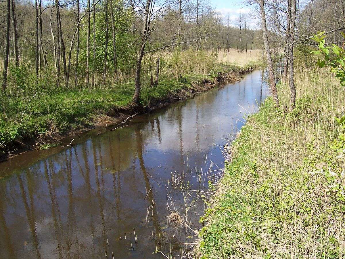 Narewkafloden i Podlasie Pussel online