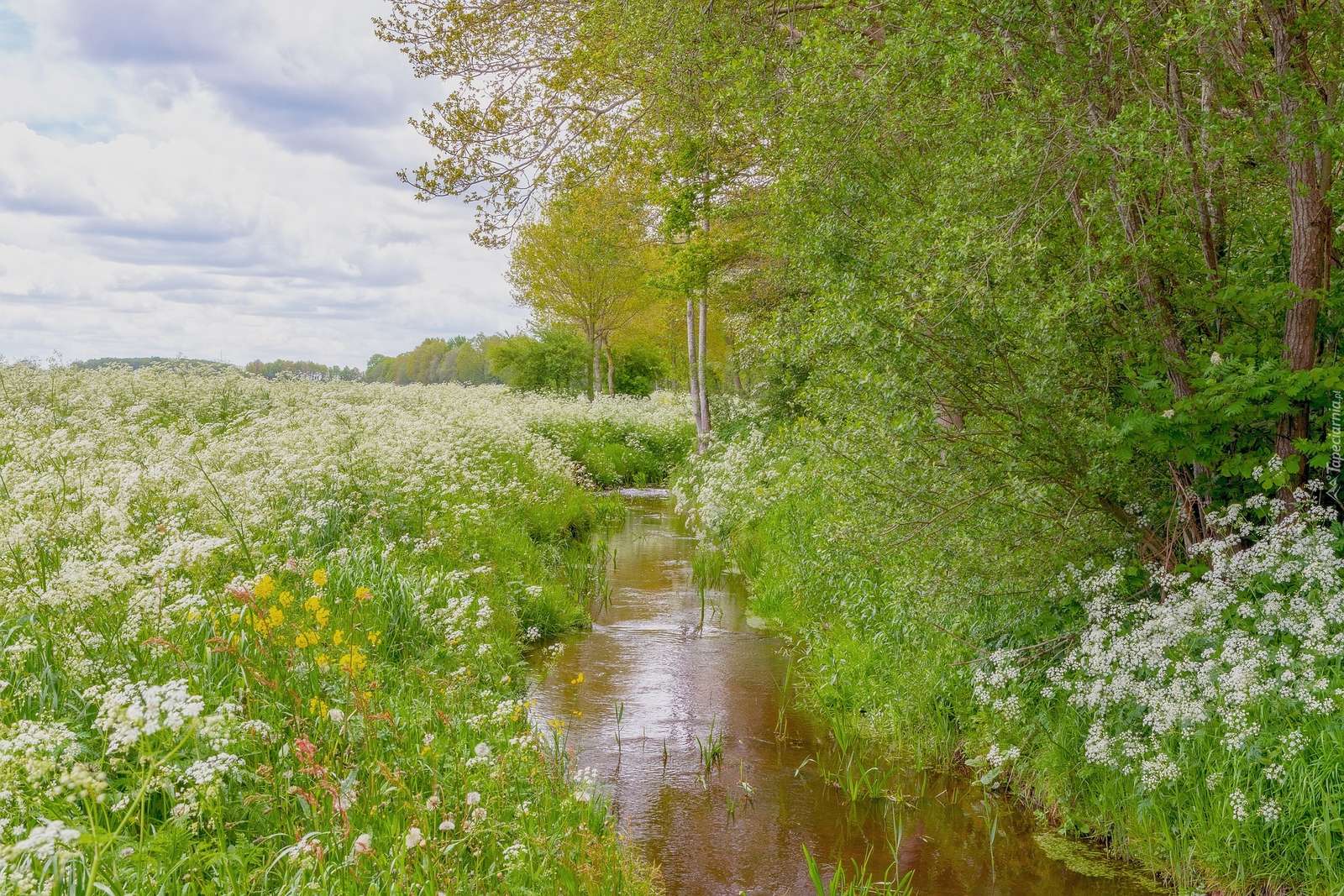 En bäck bland blommor Pussel online