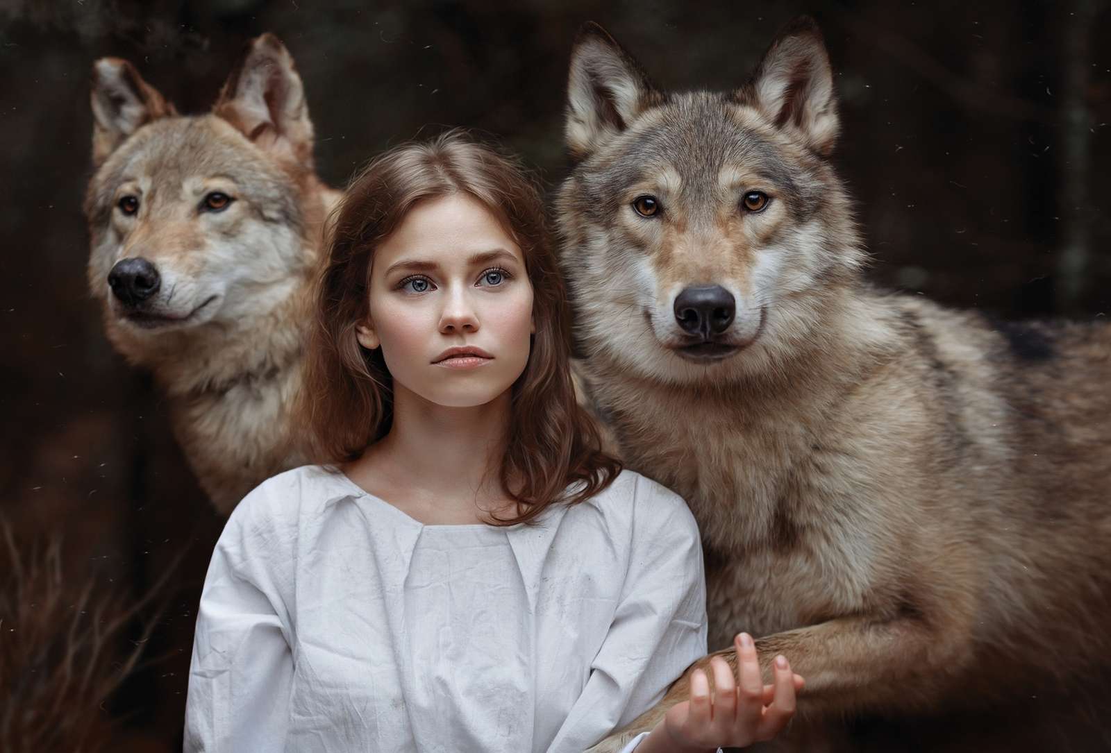 Una ragazza con due bellissimi lupi puzzle online