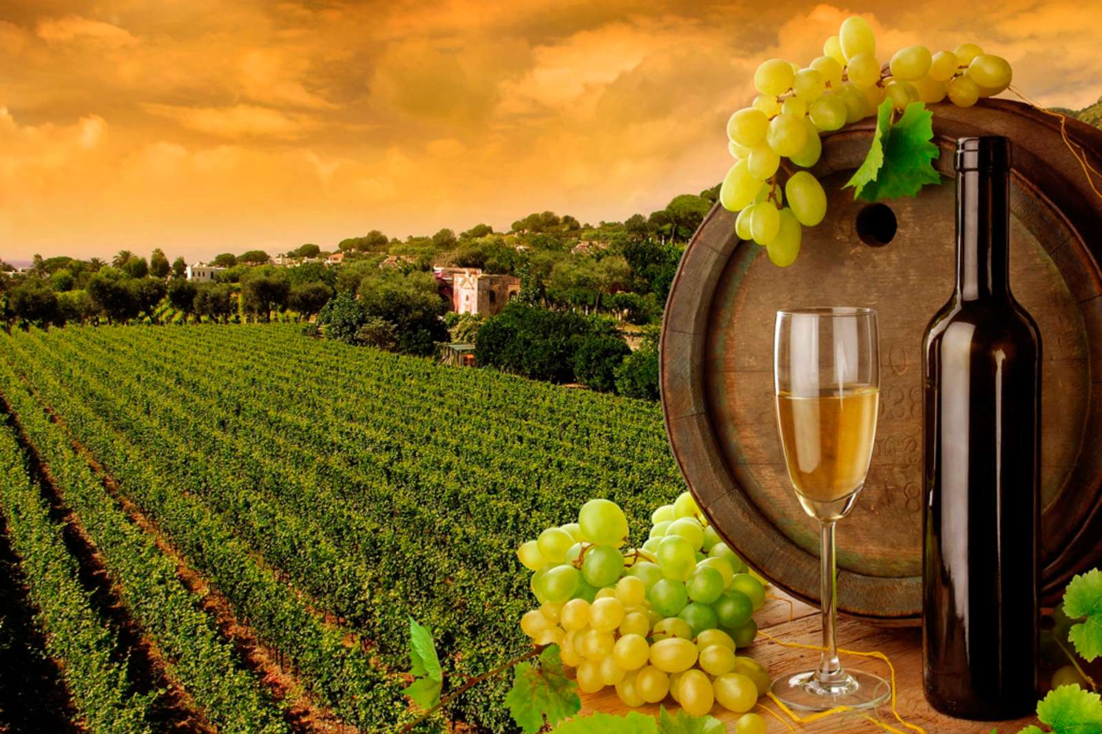viticoltura ed enologia puzzle online