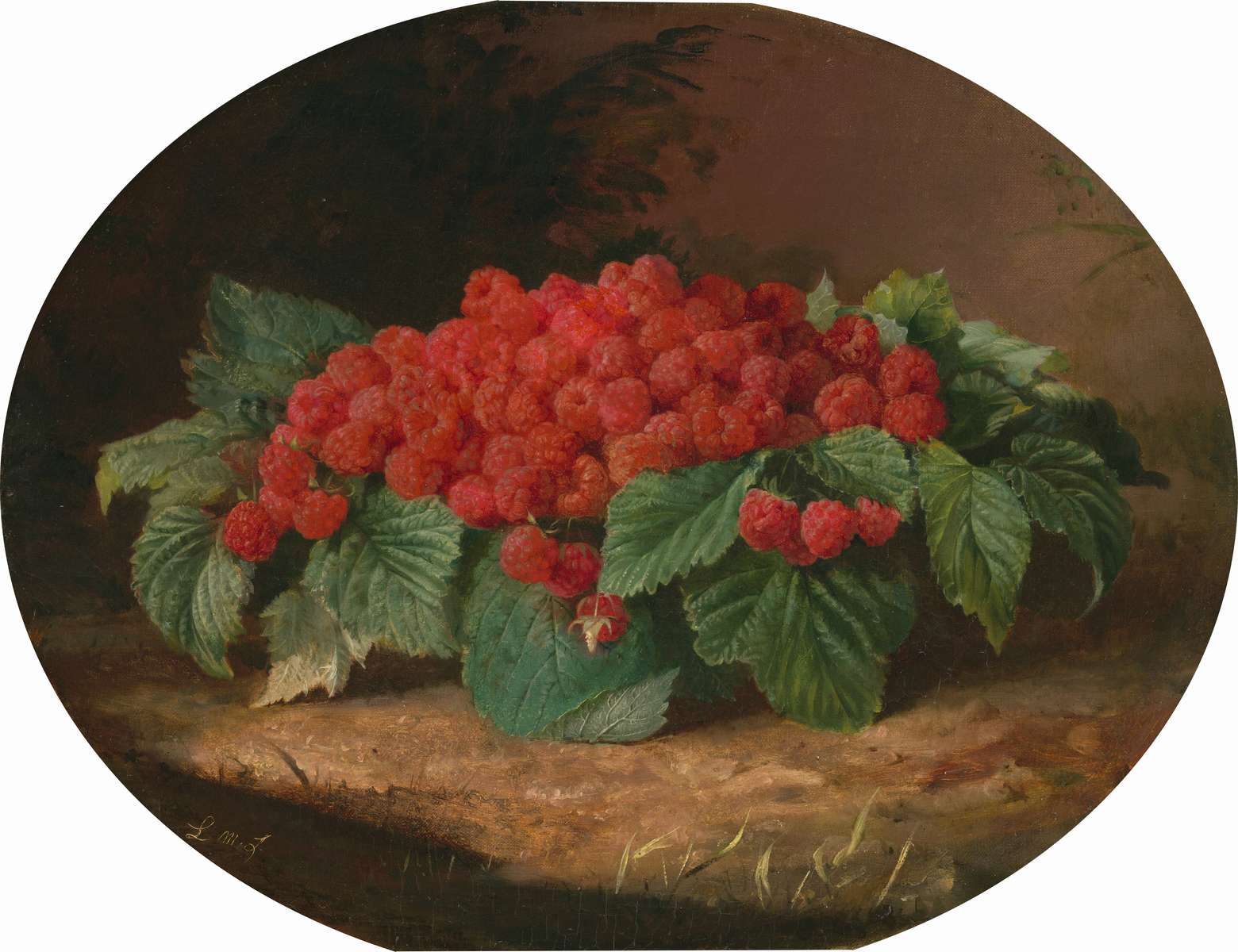 Framboises, framboises, douceur, fruits puzzle en ligne