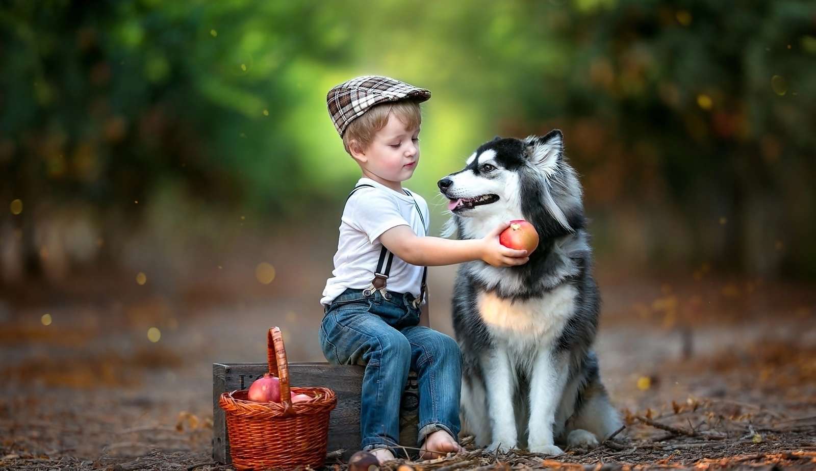 fiú és szibériai husky kutyája online puzzle