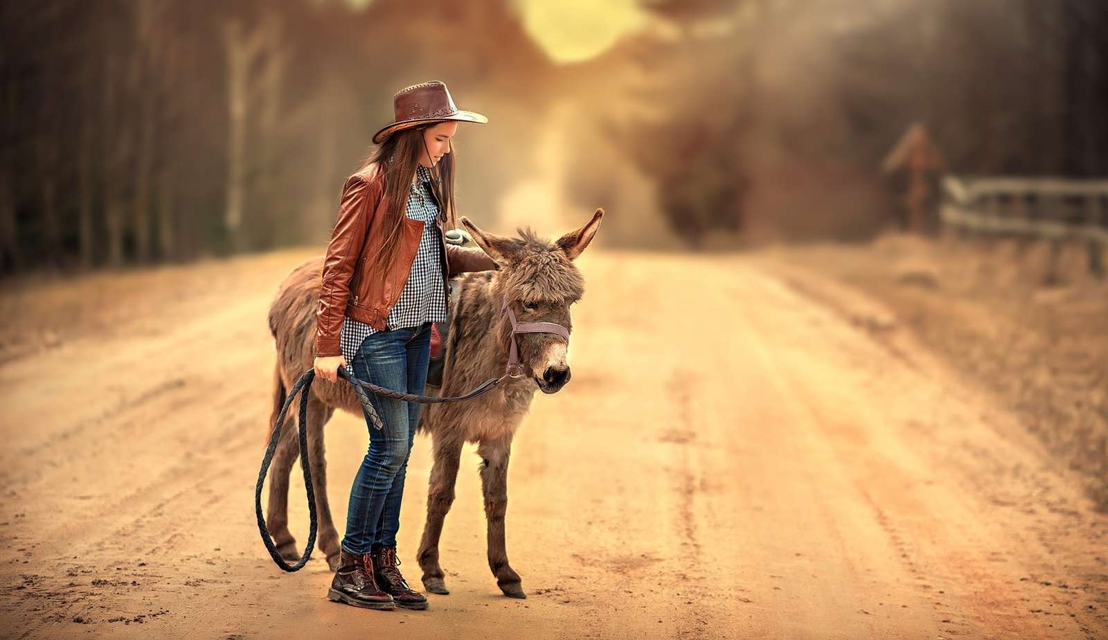 Dívka s oslem na silnici skládačky online