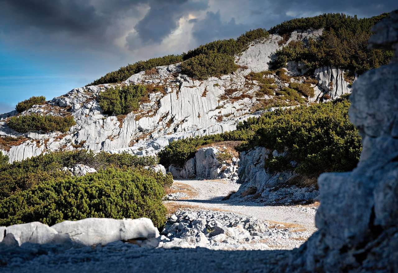 Vandringstur, Natur Pussel online