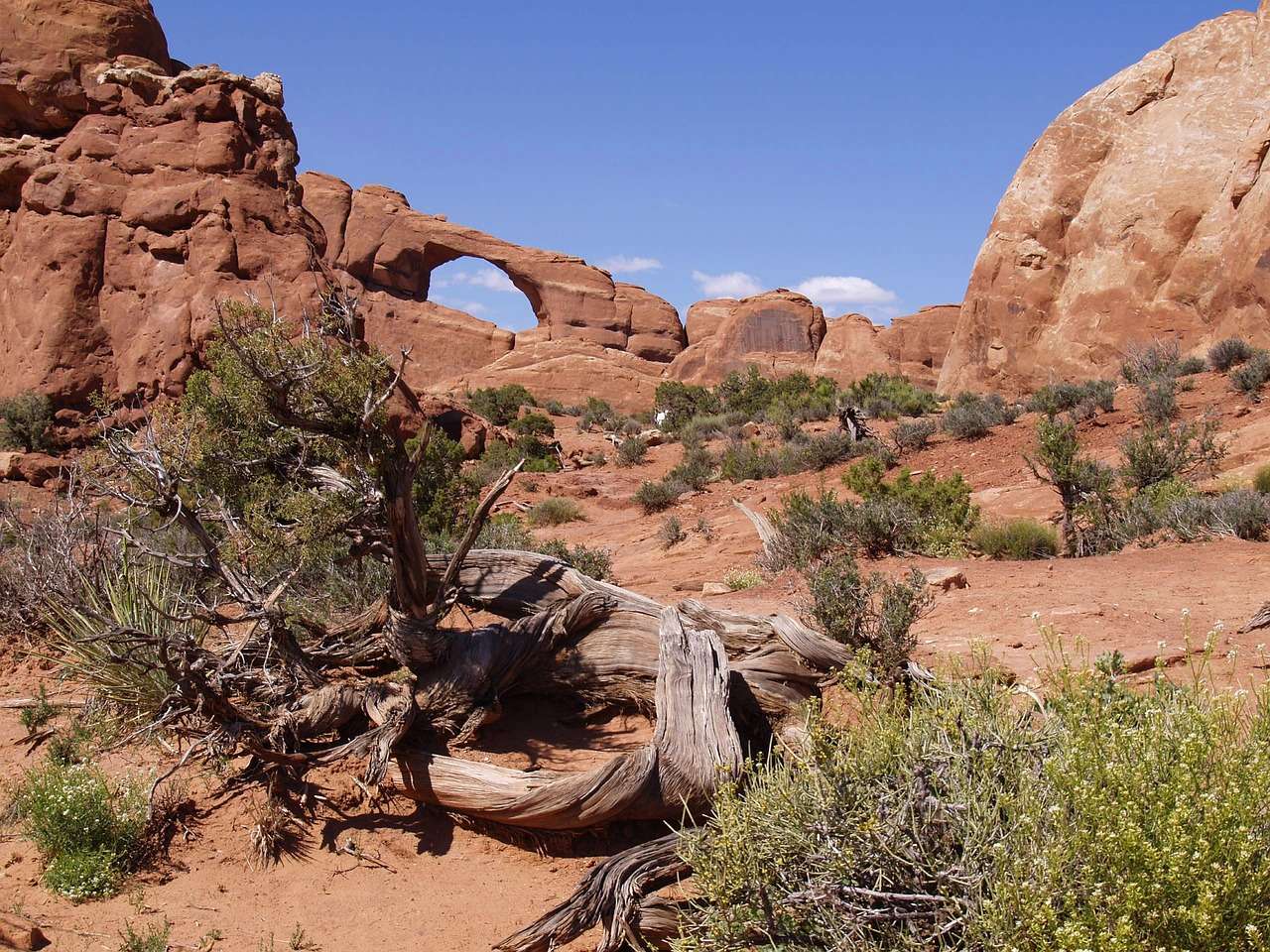 Wilson arch, national park, Utah legpuzzel online