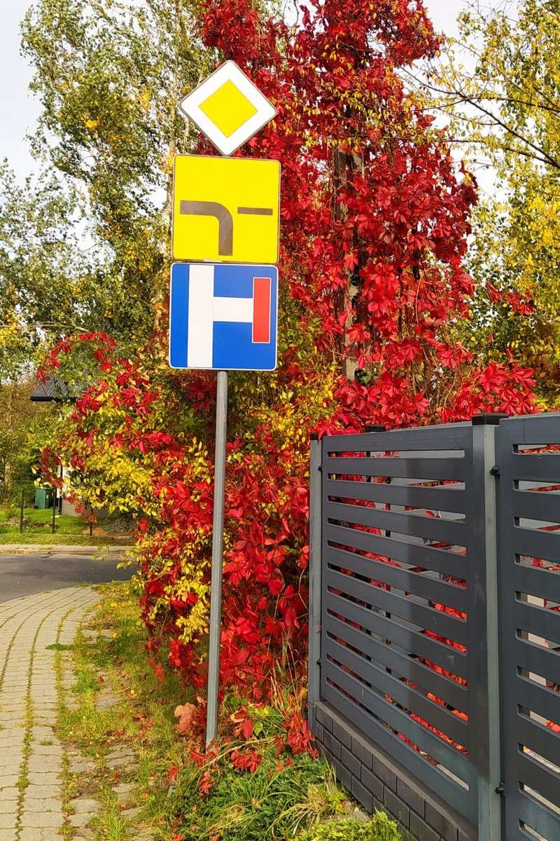 kleurrijke straat in de herfst online puzzel