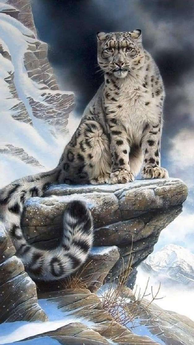 leopard sněžný online puzzle