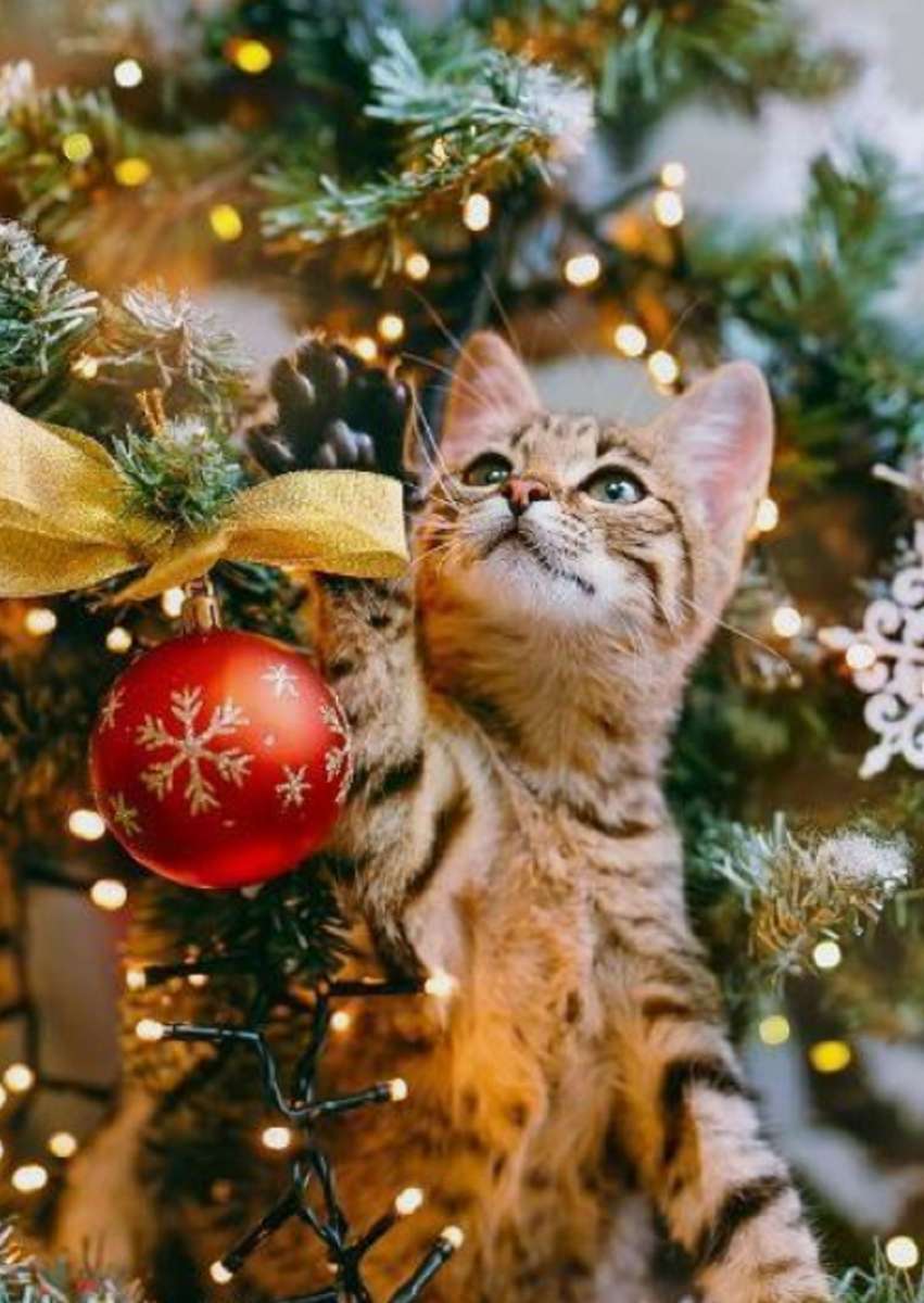kitten playing with baubles but cute jigsaw puzzle online
