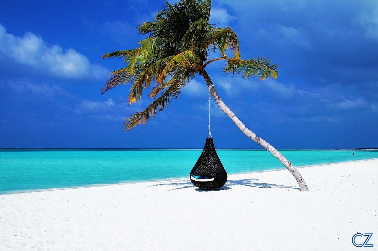Maldives, Palm Tree, Hammock online puzzle