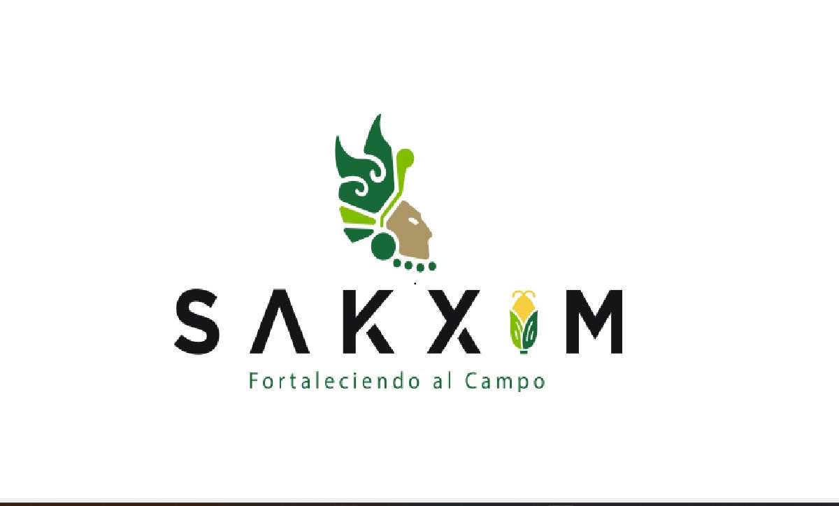 SAKXIM FINANCIÈRE puzzle en ligne