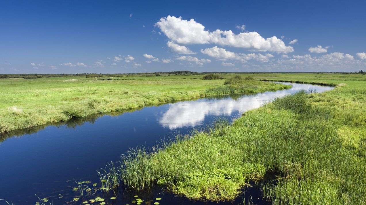 Biebrza nationalpark pussel på nätet