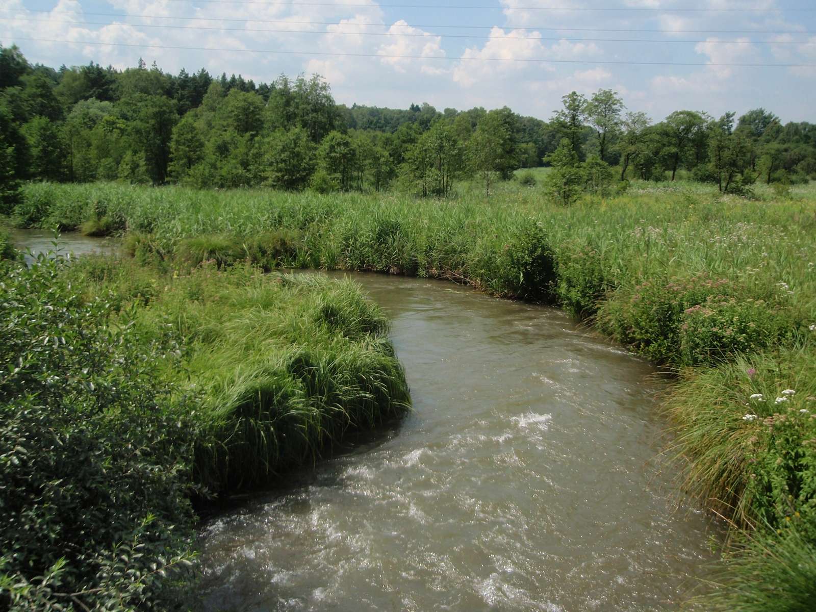 O rio Biała, um afluente do Przemsza puzzle online