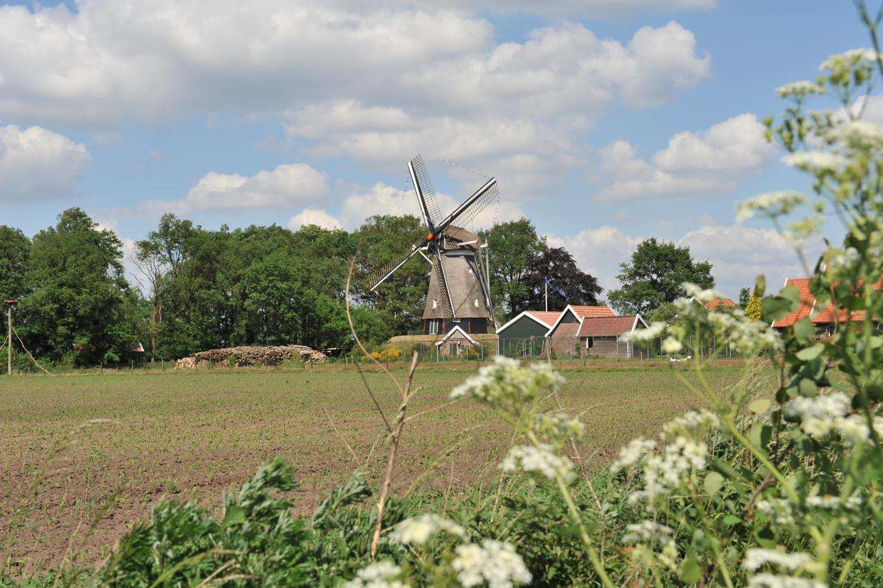 Hoeke Windmühle Belgien Online-Puzzle