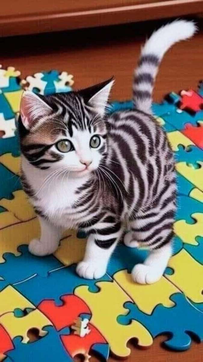 petit chaton puzzle en ligne