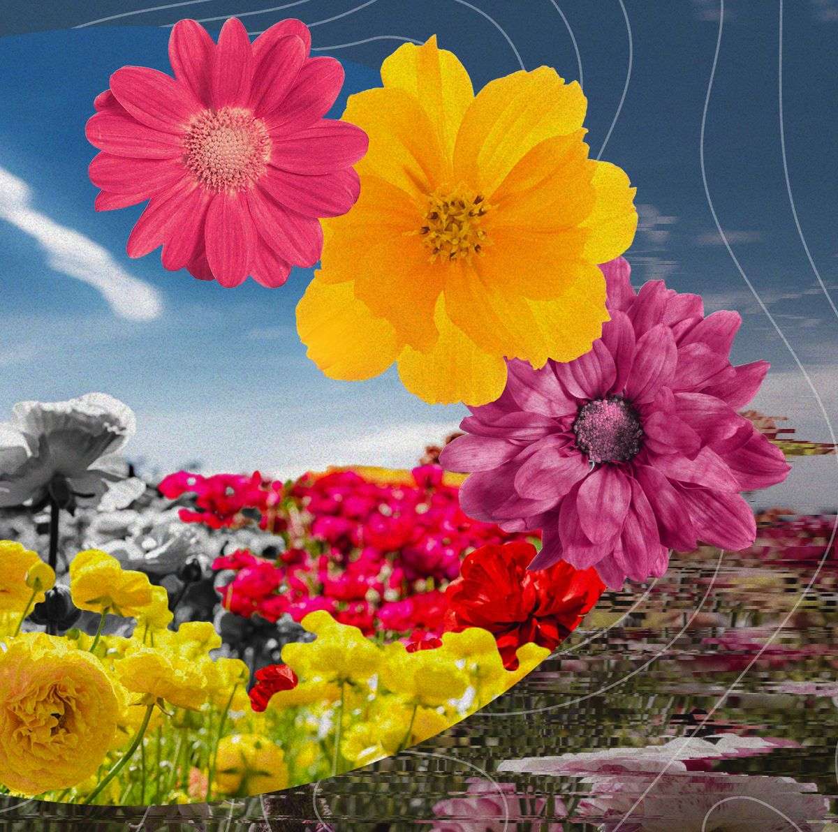 květiny! online puzzle