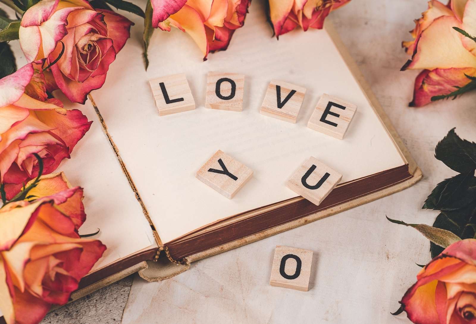 Rosen und Blöcke mit der Aufschrift „Love You“ auf einem Buch Puzzlespiel online