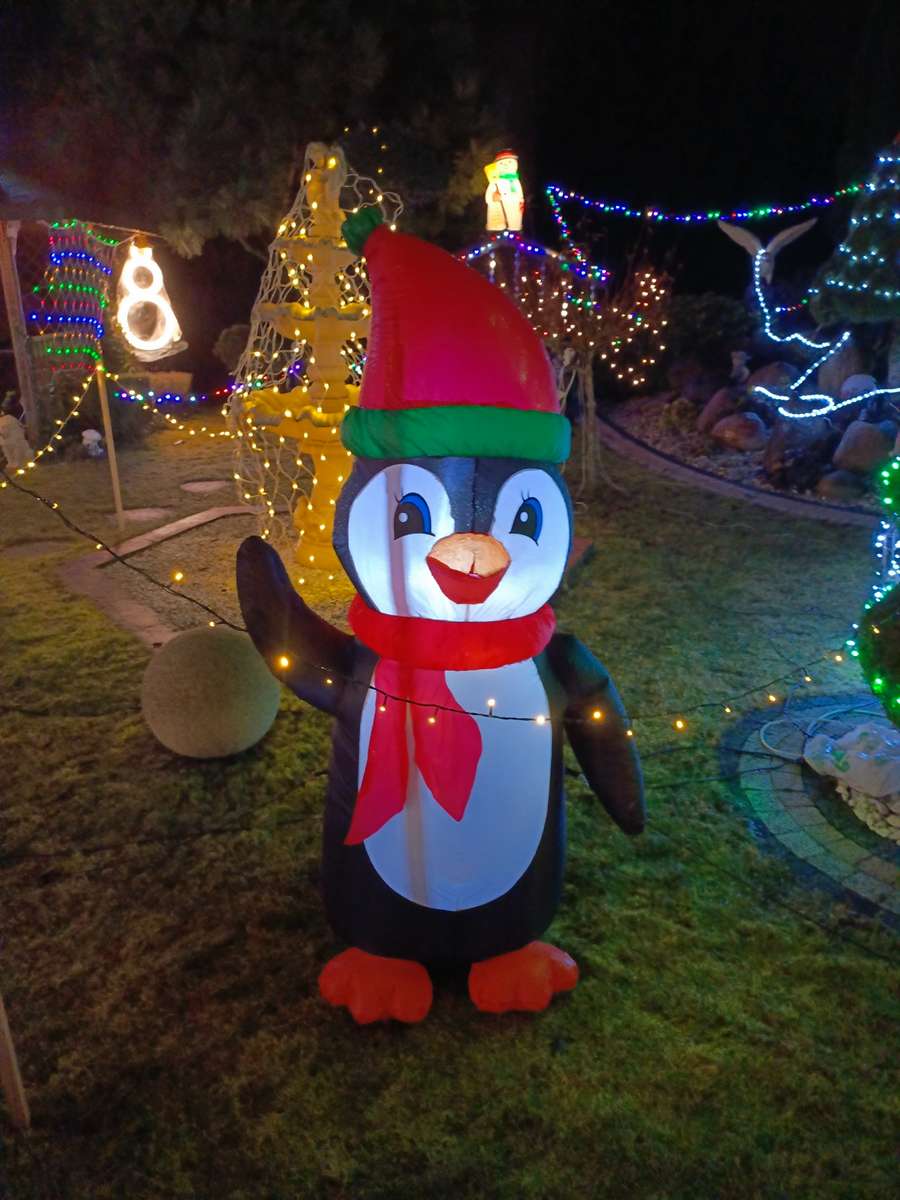 Рождественский пингвин онлайн-пазл