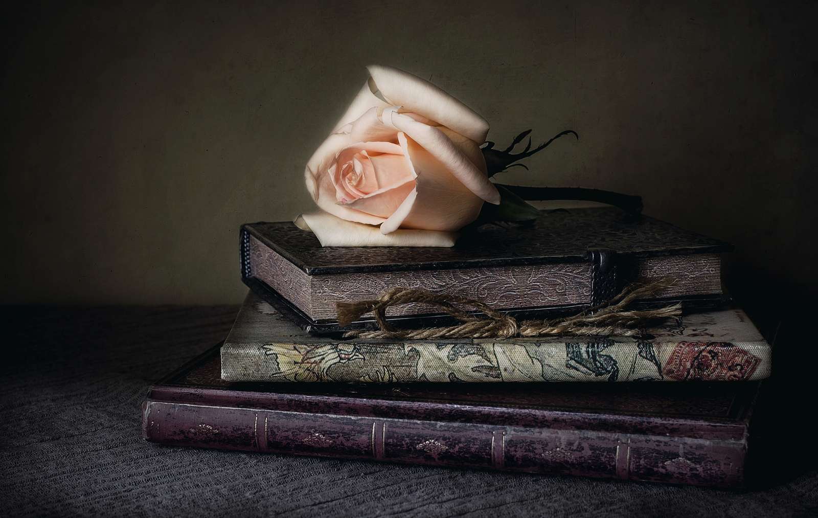 Ljusrosa ros på böcker Pussel online