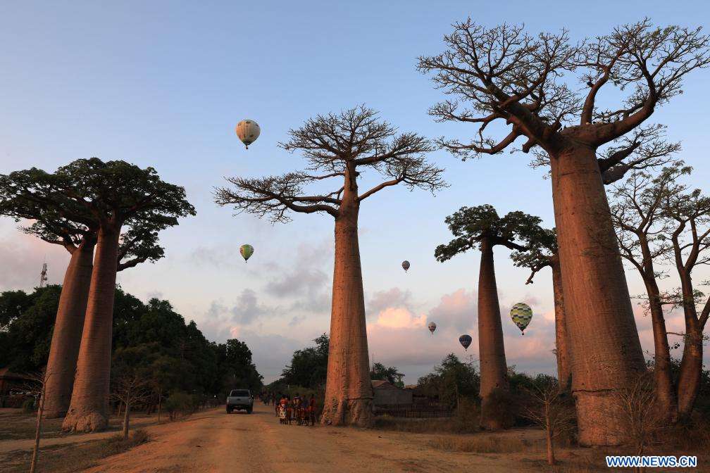 Ballons à Madagascar puzzle en ligne