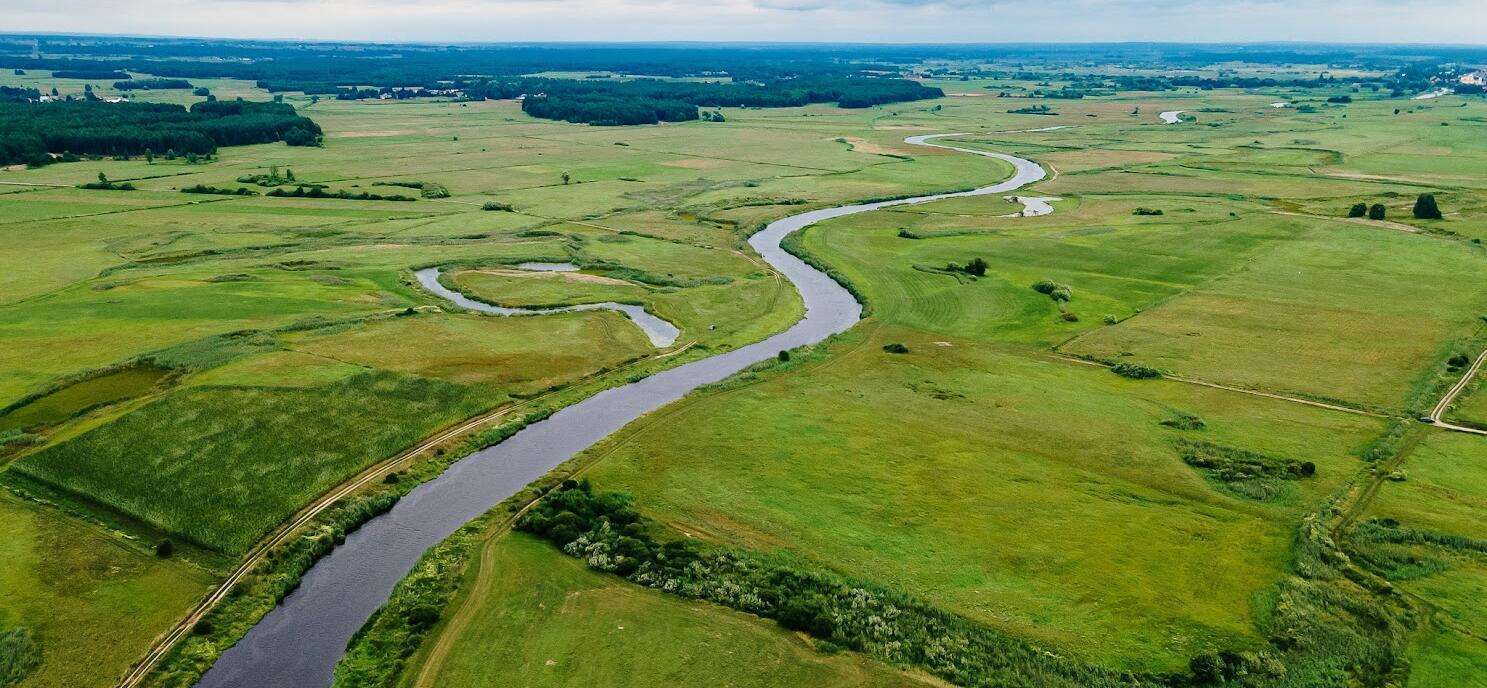 Der Narew-Fluss aus der Vogelperspektive Online-Puzzle