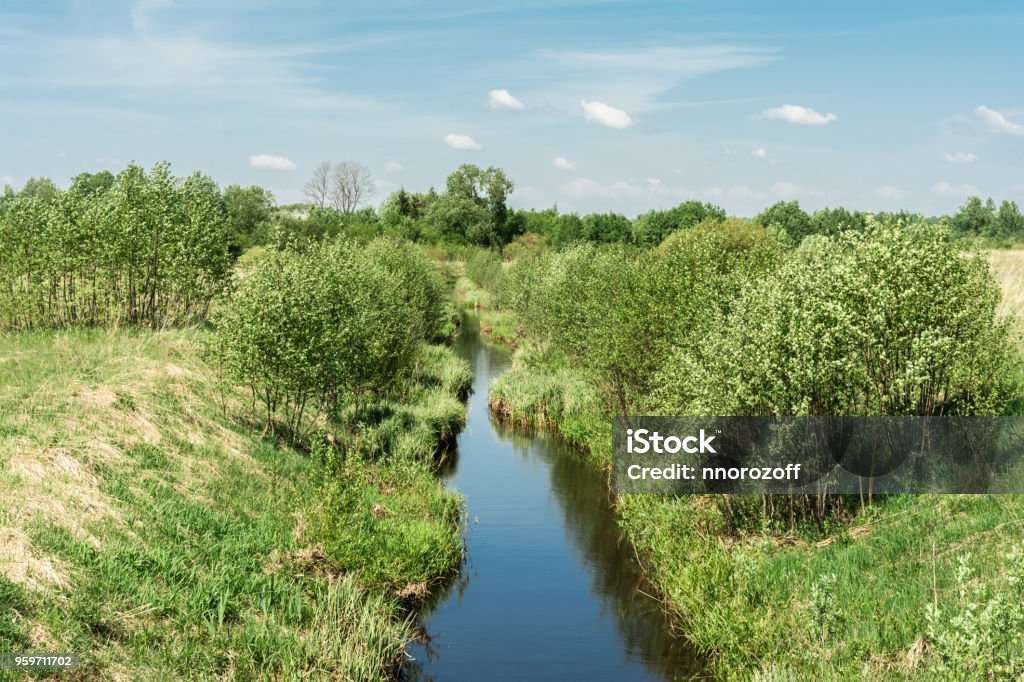 Ένα μικρό ποτάμι ανάμεσα στους θάμνους παζλ online