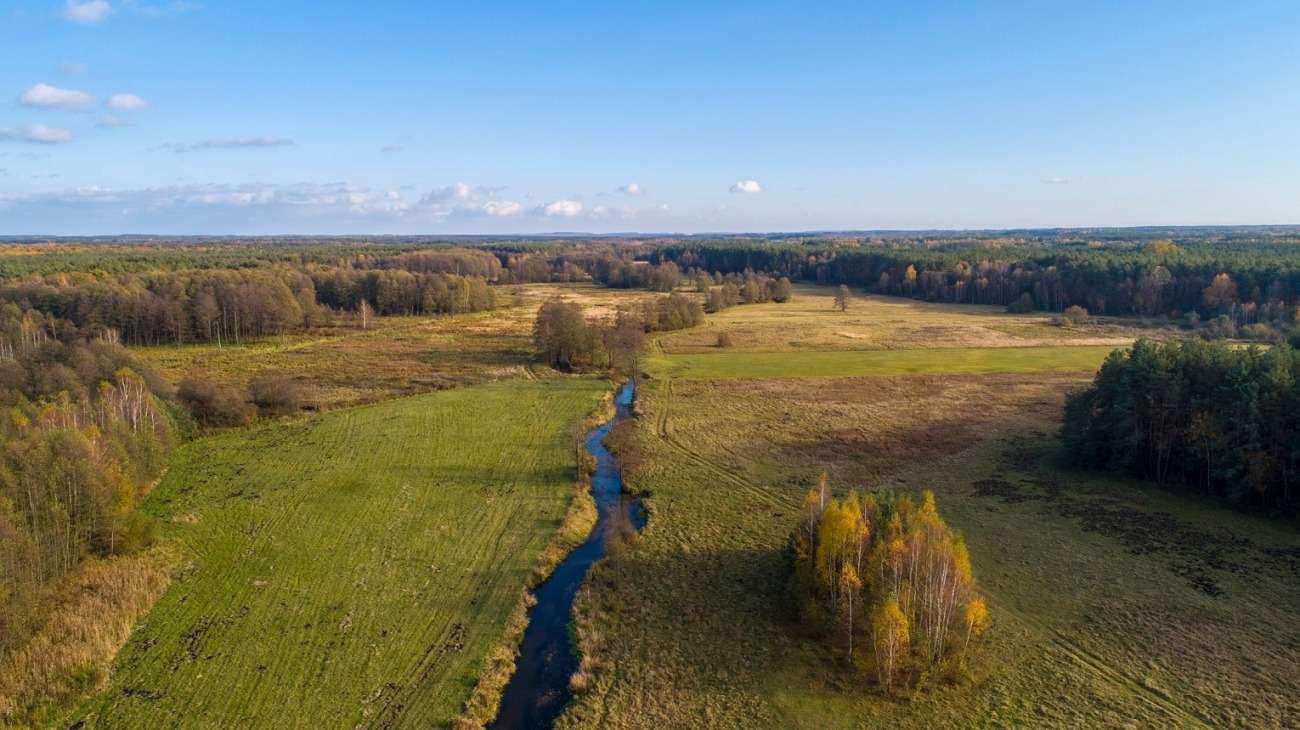 Chodelka-rivier, provincie Lubelskie legpuzzel online