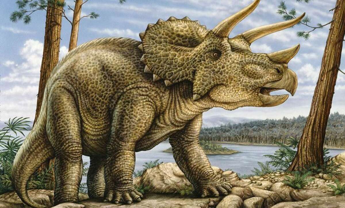 Triceratops Online-Puzzle