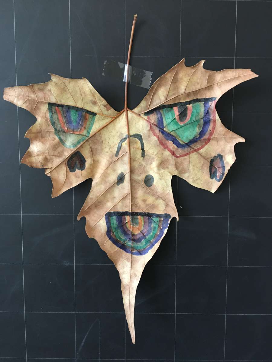 Leaf Face online puzzle