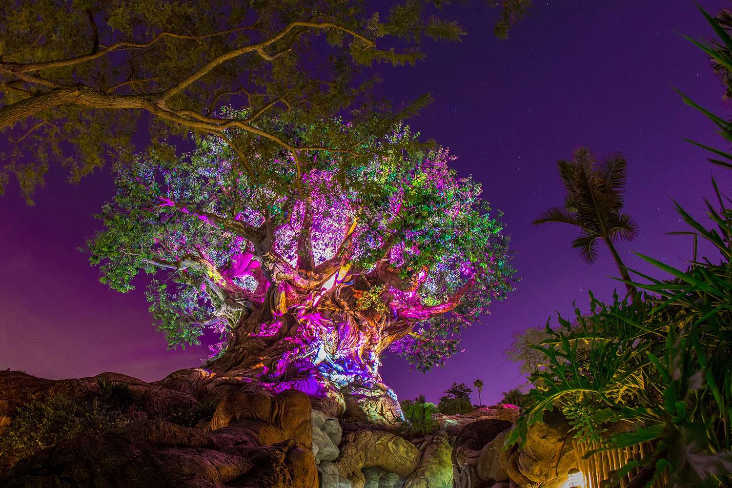 Strom života v noci skládačky online