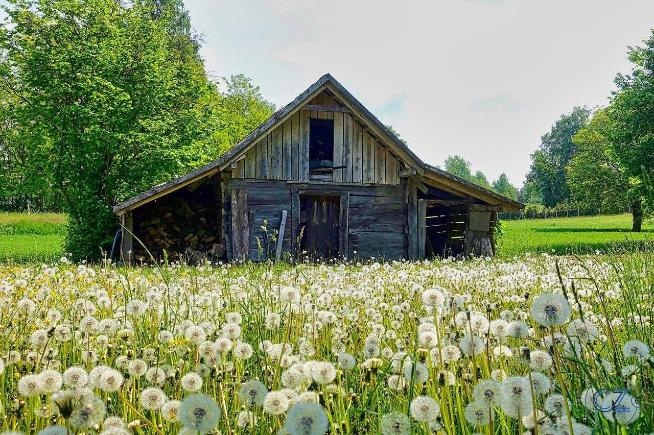 Scheune, Landwirtschaft Online-Puzzle