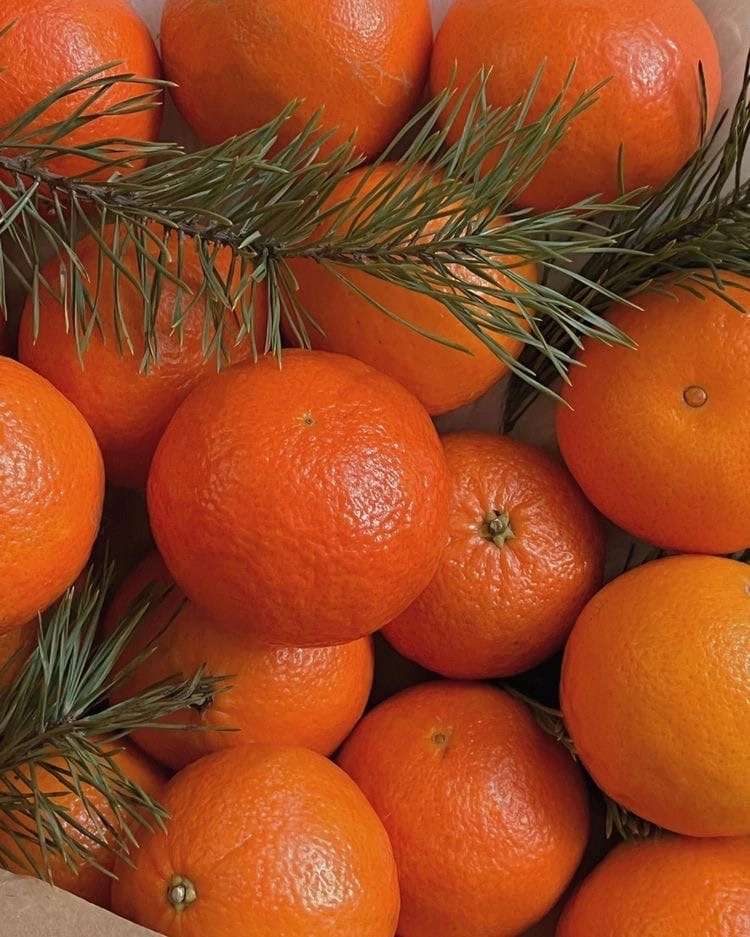 tangerines jigsaw puzzle online