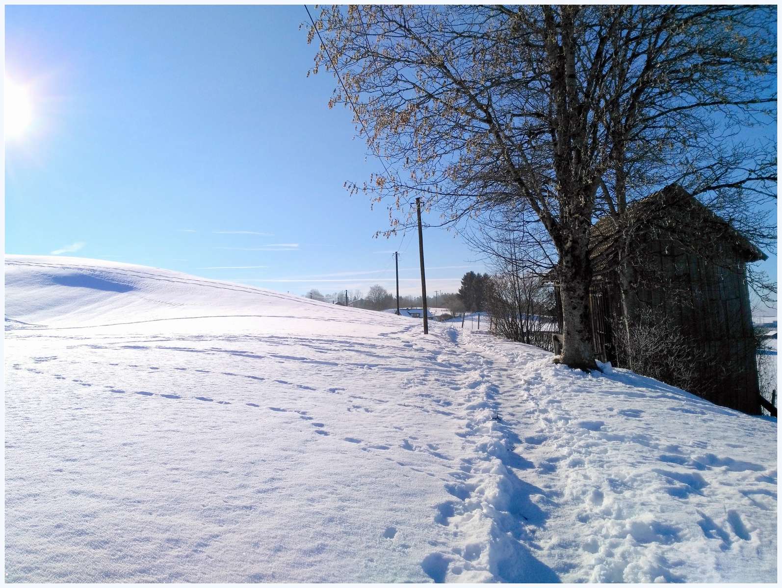 Genom snön i västra Allgäu pussel på nätet