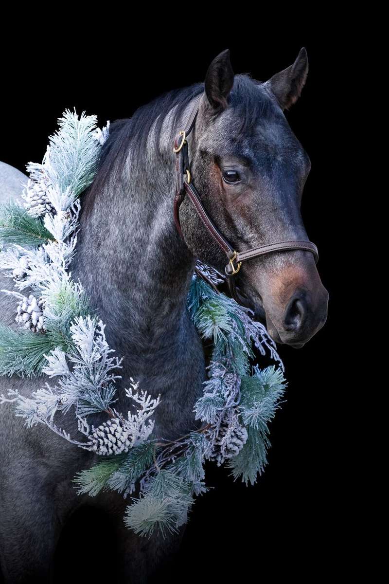 ló karácsonyi koszorúval online puzzle