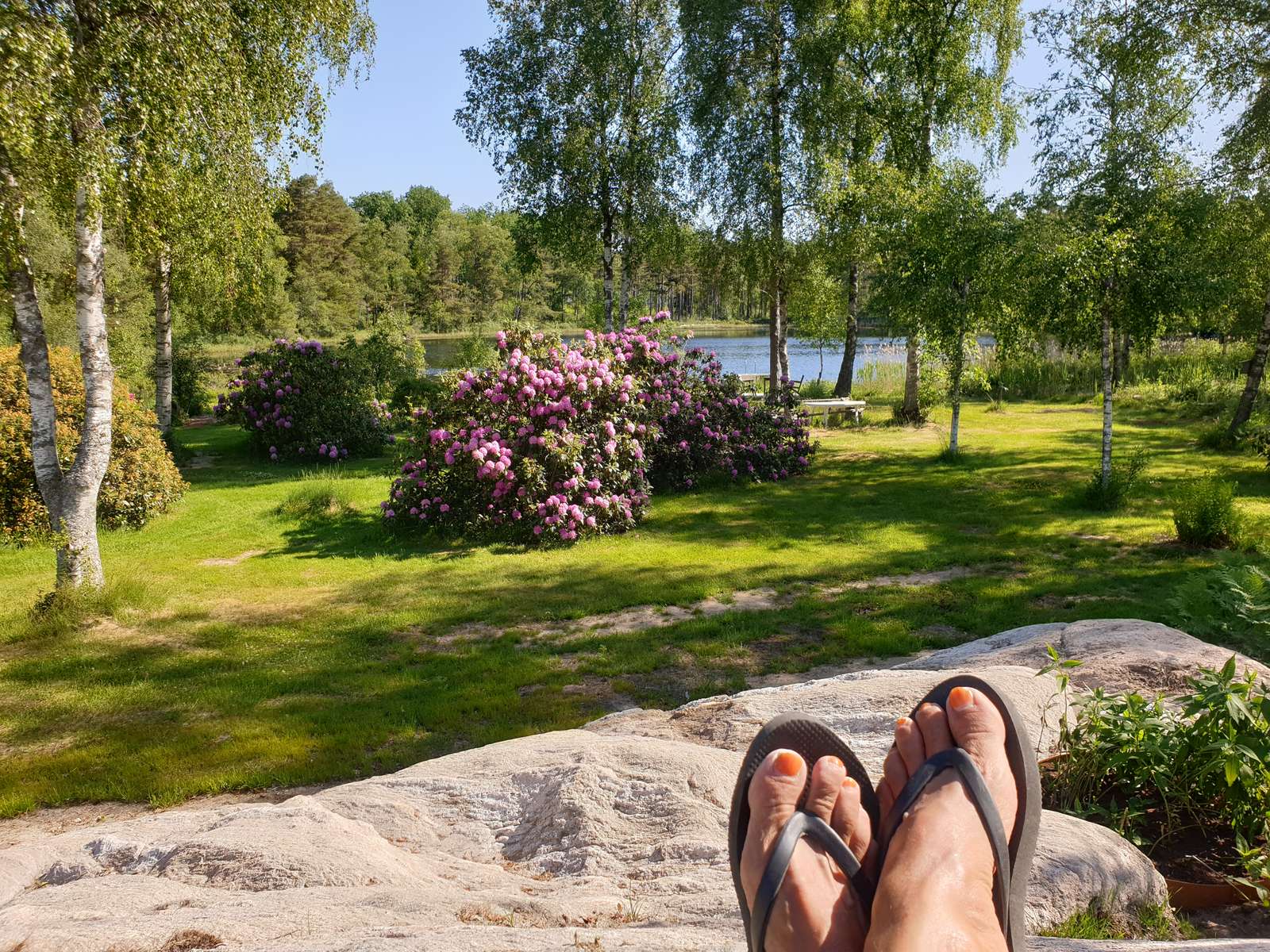 Rododendrons bij het meer legpuzzel online