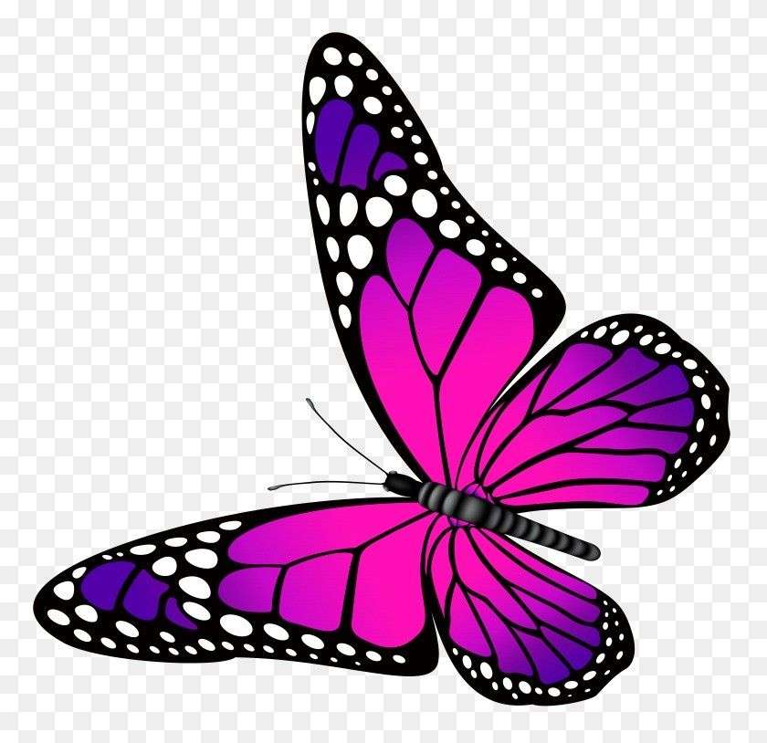 beau papillon puzzle en ligne
