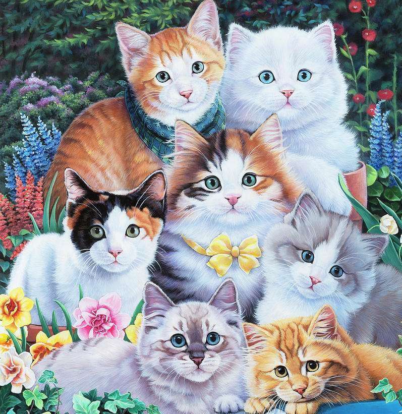 Снимка на котенца онлайн пъзел