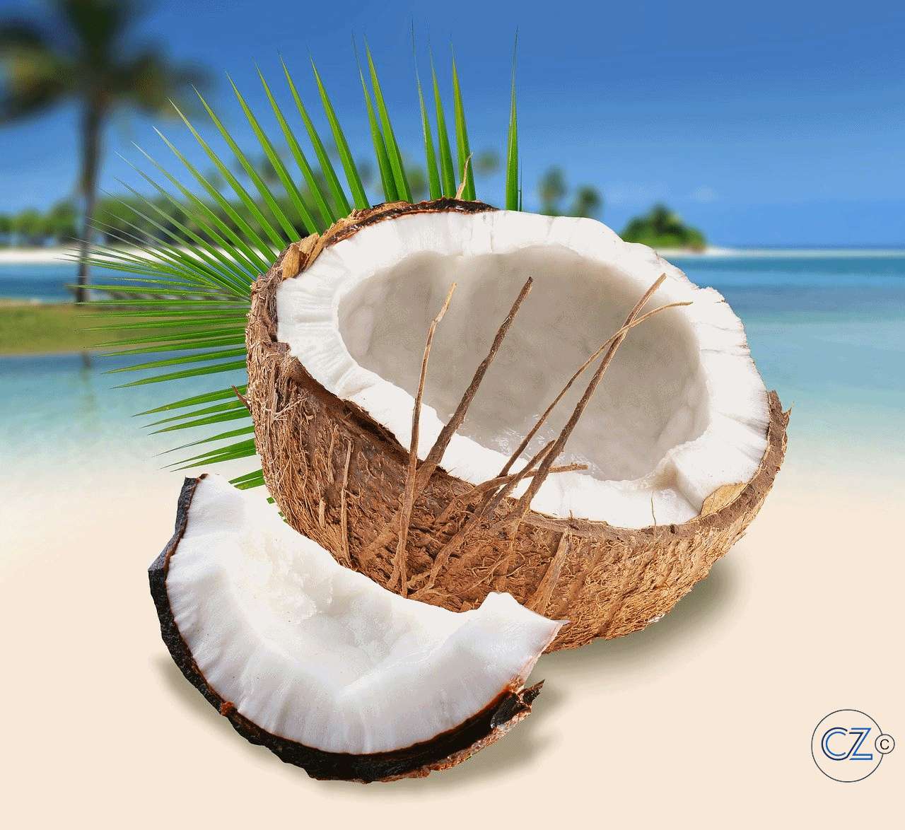 Coconuts on the beach jigsaw puzzle online