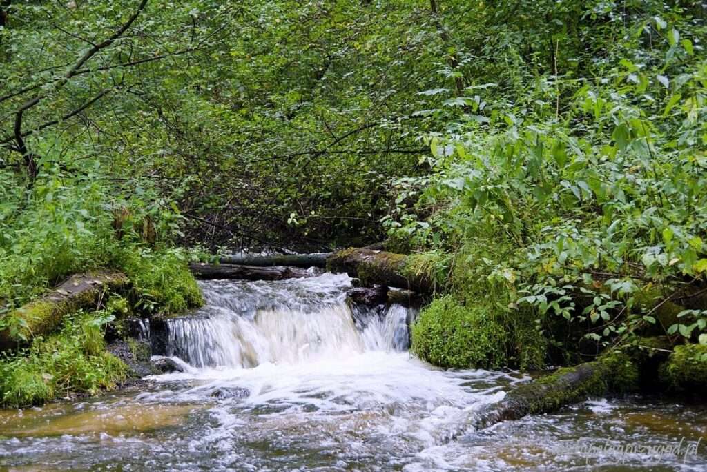 Ett litet vattenfall i Polen pussel på nätet