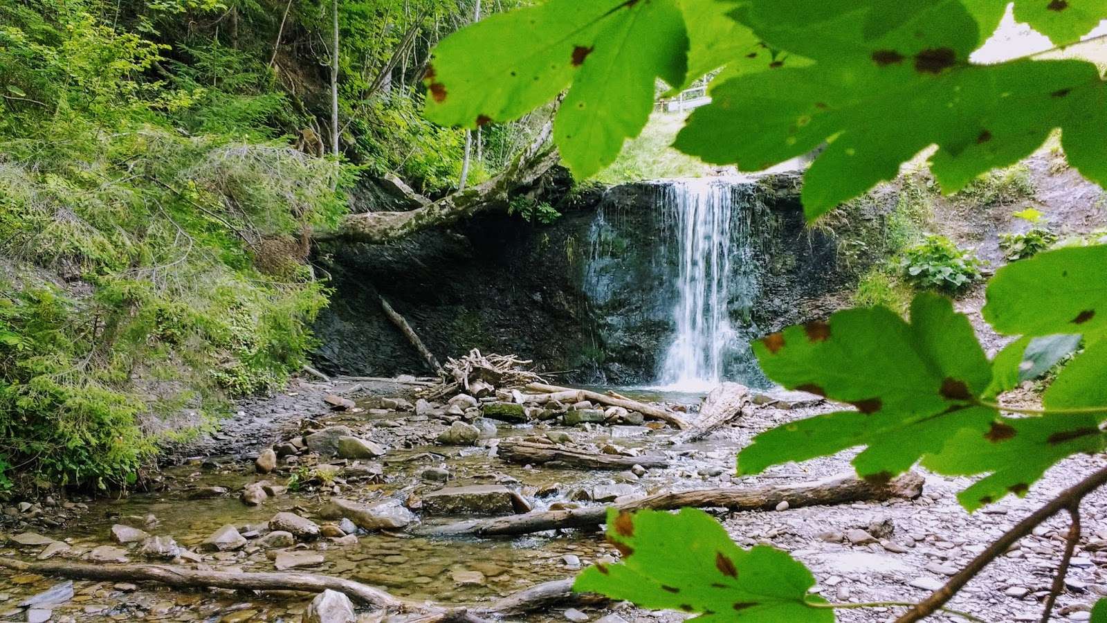 Uma pequena cachoeira nas montanhas Bieszczady puzzle online
