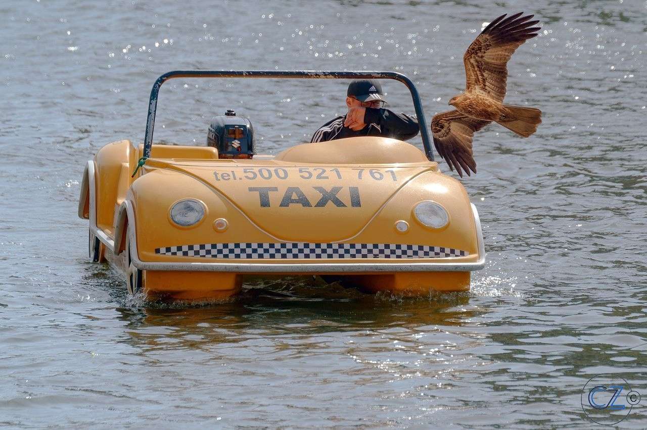 Táxi aquático, barco quebra-cabeças online