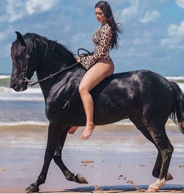 CAVALO NEGRO TROTANDO PELA PRAIA quebra-cabeças online